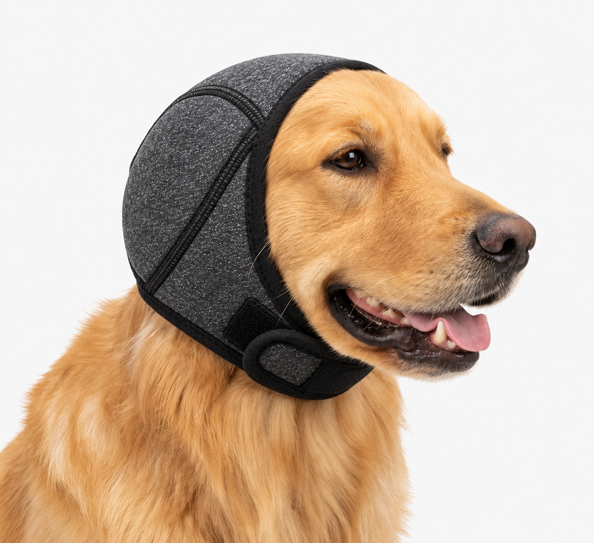🔥 BLACK FRIDAY EARLY ACCESS — 69% OFF  🐶 Calming Noise-Reducing Comfort Hood for Dogs