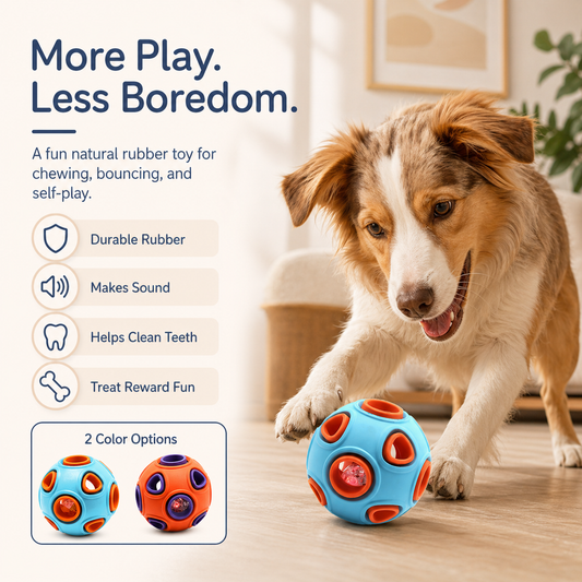 Light-Up Squeaky Dog Chew Ball