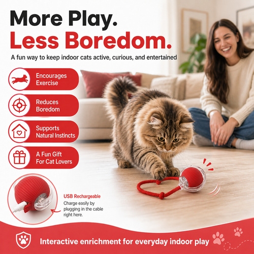 Interactive Cat Ball Toy