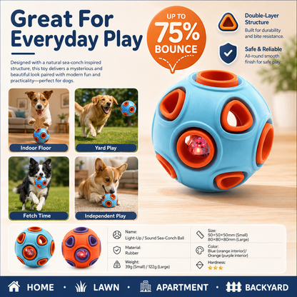 Light-Up Squeaky Dog Chew Ball