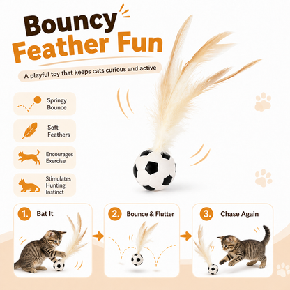 Feather Bouncy Cat Toy Ball