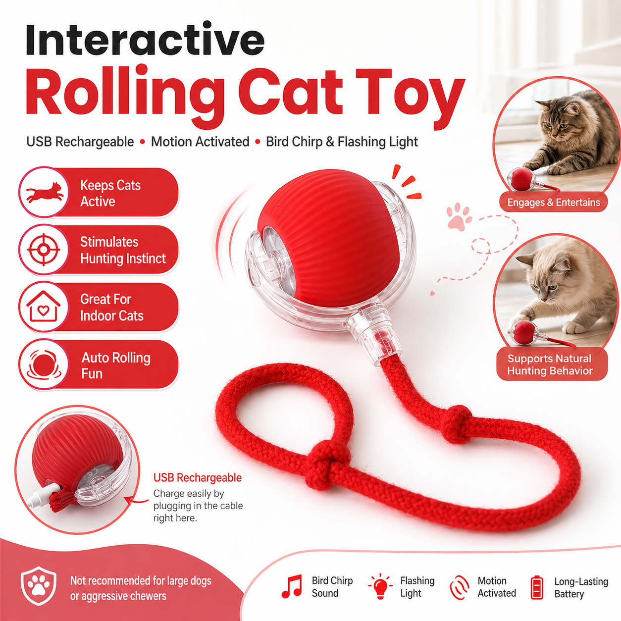Interactive Cat Ball Toy