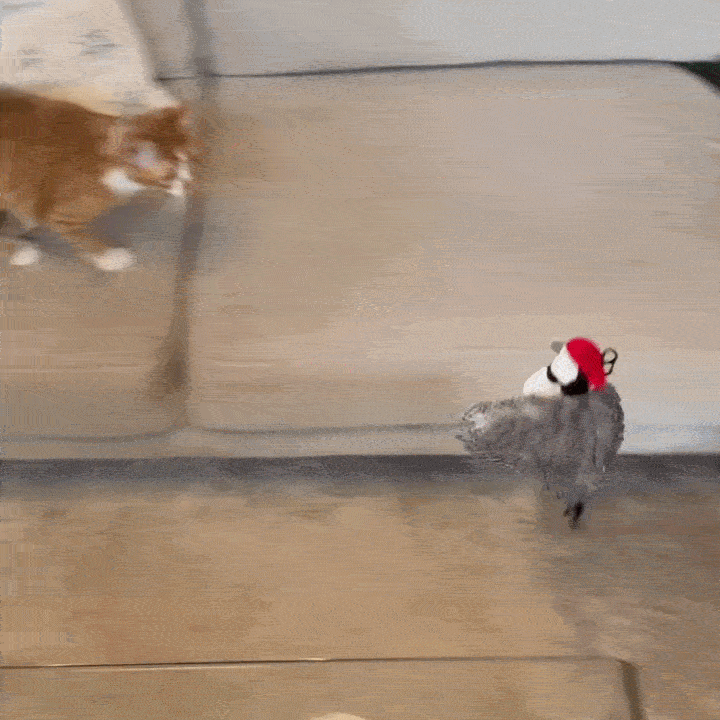 Flappy Bird Toy in action